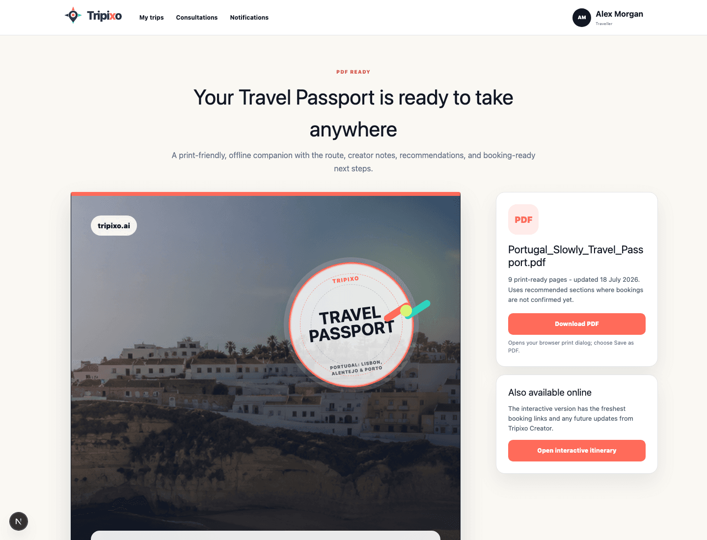 Tripixo travel passport PDF download view