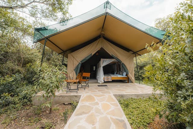 A creator-curated trip through Masai Mara