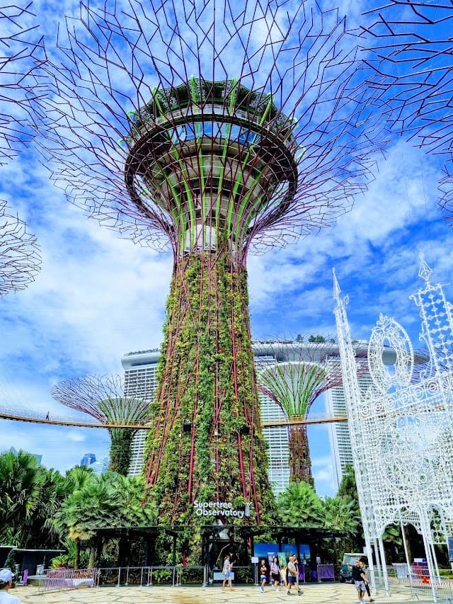A creator-curated trip through Singapore