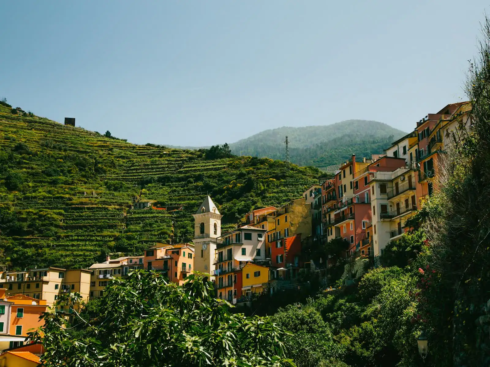 Terraced hillside village in Cinque Terre, Italy, above the Mediterranean coast
