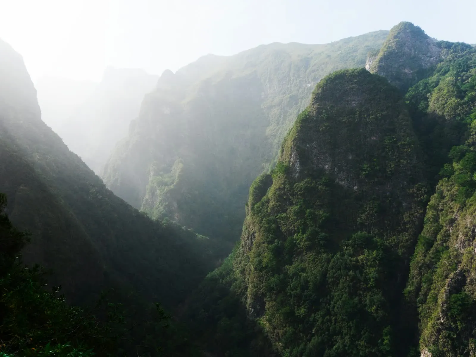 Misty green valley in Madeira, Portugal, viewed from a forest trail